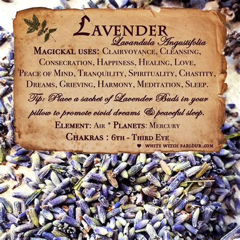 Magical uses of lavennder